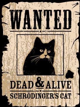 Chat de Schrodinger bis